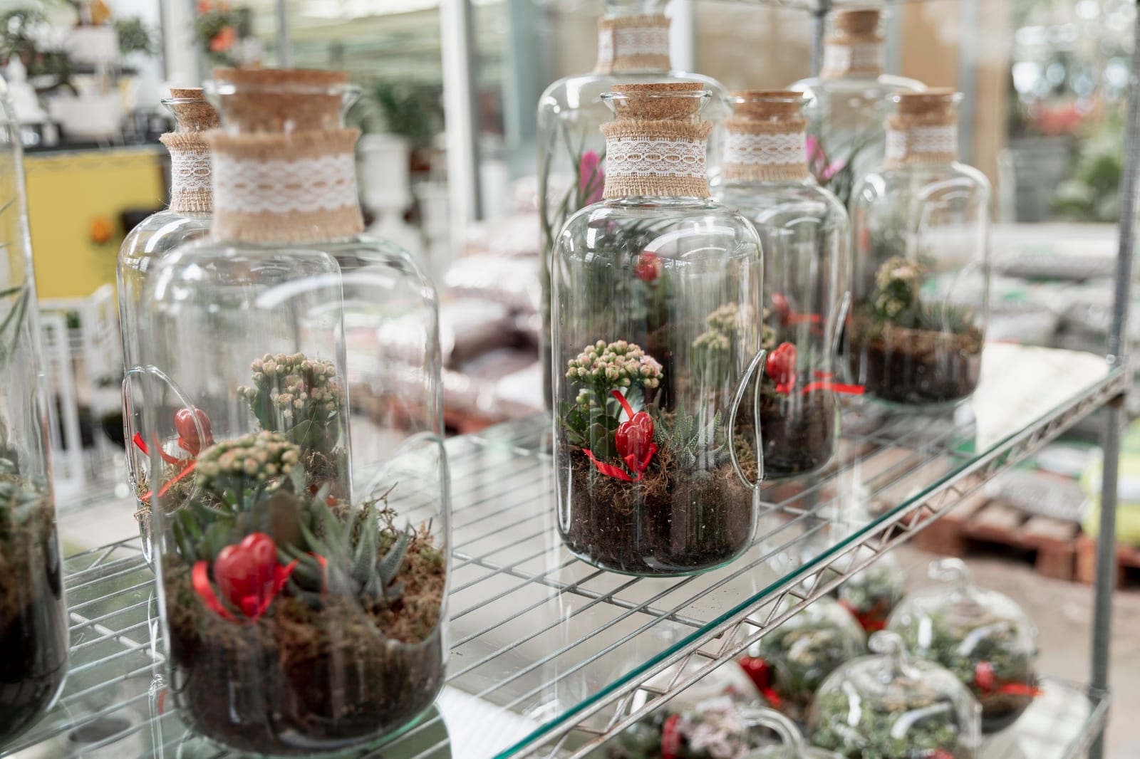 Terrário de Vidro Fechado — Médio, peça do ateliê Nano Hub